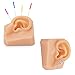 Ultrassist Soft Silicone Left Ear for Practicing Suture, Silicone Flexible Model for Education Display, Rubber Ear for Teaching Instructions