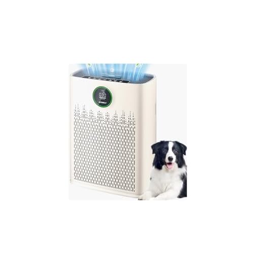 HEPA Air Purifier for Large Rooms