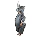 Rhino Safari Full Body Inflatable Costume for Adults (One Size)