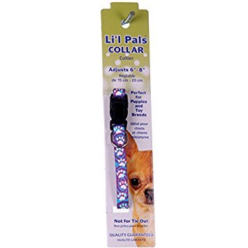 lil pals collars