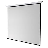 CELEXON Leinwand Rollo Economy 240x180