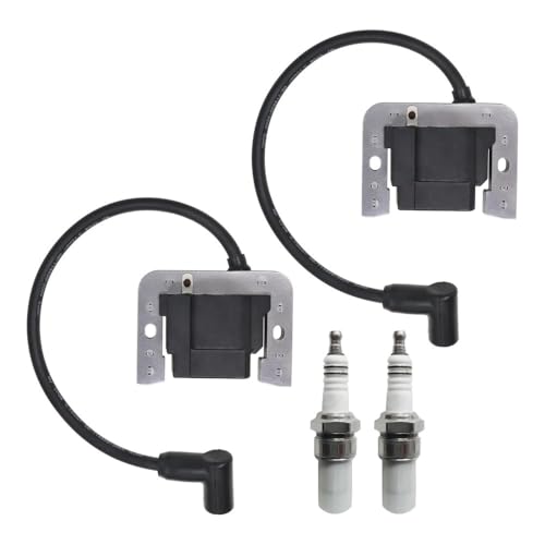Bobines d'allumage CH20 CH22 pour l'entretien de votre jardin