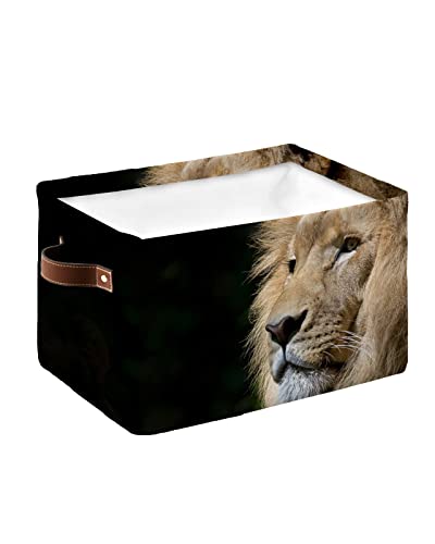 Close-Up African Lion With Brown Hair Storage Bins, Cube Storage Organizer With Handles, King Of The Prairie Black Backdrop Waterproof Clothes Hamper Storage Basket For Toys/Blanket 15"X11"X9.5" #TOP10