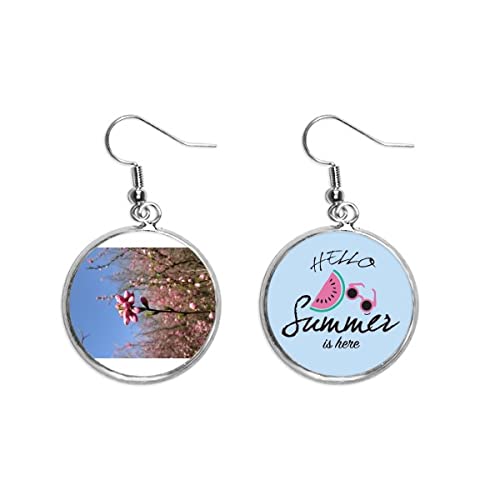 Pendientes de sandía joyería fotográfica para lóbulo y moda de verano