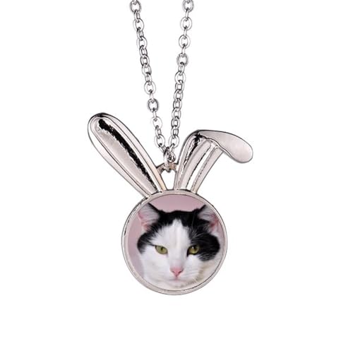 Collier lapin pour animal de compagnie idéal pour les sorties au parc et les photos