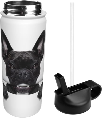 X|[c ʔ t`uhbO XeX{g X|[c{g @r ^fM ۉ|bg e XeX  EH[^[{g  ϗϔM j̎q ̎q AEghA ֗ sp 532ml 蕨