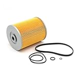 FF5071 Compatible with Nissan Truck Fuel Filter F207 P550028 4934845 16444-99026 16444-99028