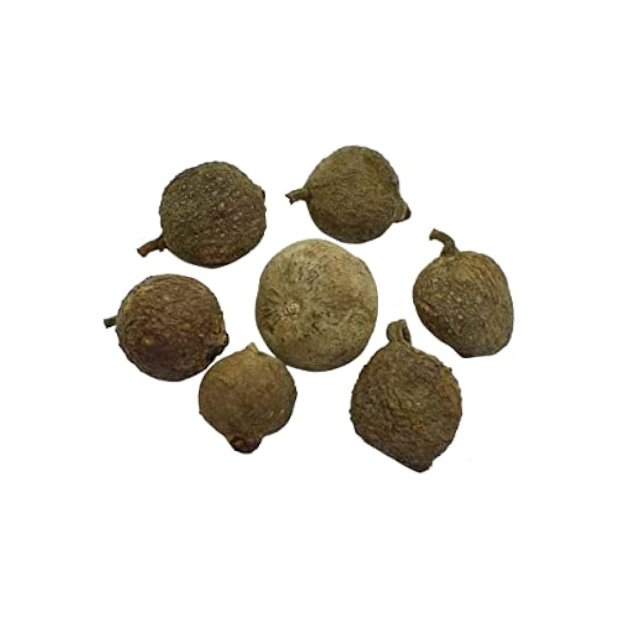 Gular Dried Fruit (Ficus Racemosa) - 100 Grams