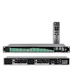 31 Bands Digital Equalizer, Stereo Graphic Audio Equalizer, with 21 Preset Effects, Low/Mid/Treble Adjustment, Automatic Noise Reduction, 1U Rack Mount, for Recording Studio
