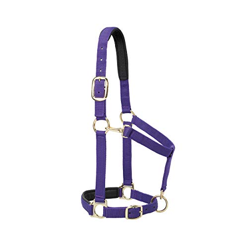 Cuero acolchado ajustable Weaver morado de 2,54 cm con alta amortiguación