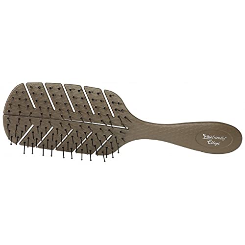 Brosse biodégradable Green day Ellep
