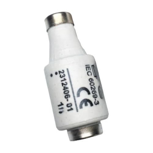 Fusible DII 25A haute capacité de coupure en céramique pour protection électrique