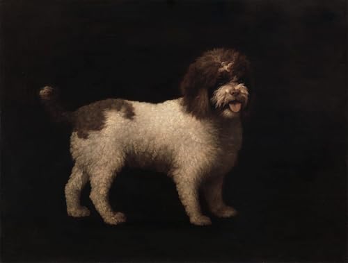 Affiche Épagneul d'eau George Stubbs toile 60x90cm pour remplacer un cadre sans âme