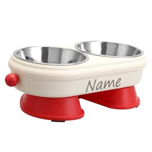 CQSXM Personalisierter Futternapf Erhöhter, Rutschfester Hundenapf mit Namen, Abnehmbare Edelstahlschüssel 350ml x 2, für Katzen und kleine Hunde (Personalisiert)
