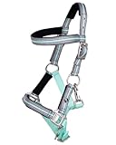 QHP Fohlenhalfter Flore mit Stirnband (Ice Green, Minishetty)