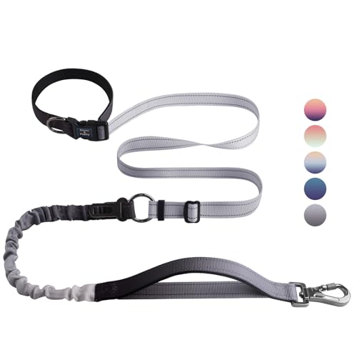 Roses&Poetry Hands Free Dog Leash for Medium Large Dogs Heavy Duty, No Pull Bungee Dog Running Waist Leash for Walking Training with Car Seatbelt 4-6FT