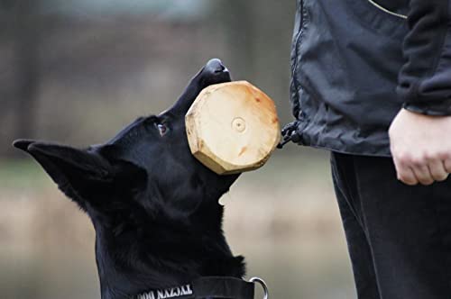 Dingo Gear Apport Holz Spiel Training Ausbildung IGP Apportieren IPO Geklebt, 1000 g S02517