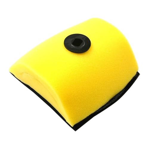 Filtre à air pour moto CRF150F contre la poussière