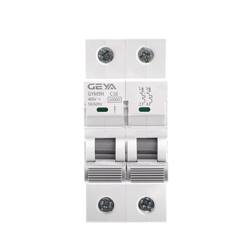 Mini-disjoncteur GYM9H 2 pôles 10 kA 50A AC pour tableau électrique
