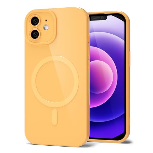Coque silicone iPhone 12 Mini magnétique protection appareil photo fin