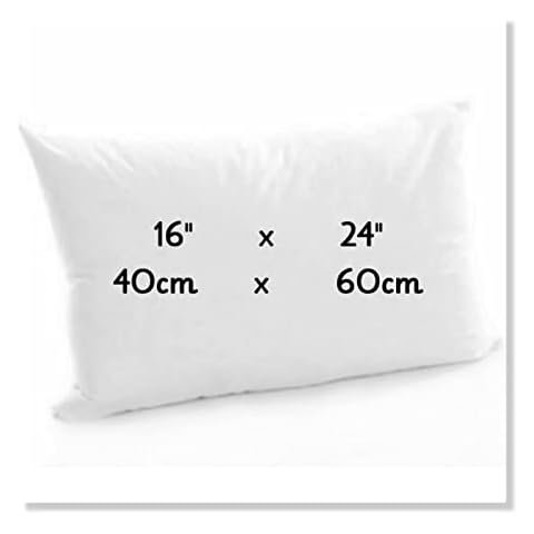 ARLINENS Soft Bouncy Rectangle Oblong Hollow Fibre Plump Scatter Pillows-Double Stitched Edges-Inners Inserts Fillers Pads for Sofa Bed & Couch (1, 16x24) Cover