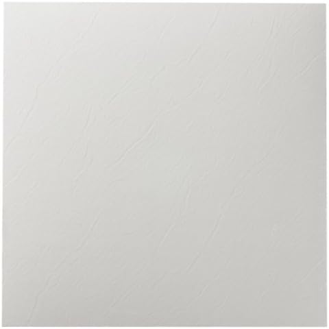 Nexus Self Adhesive 12-Inch Vinyl Floor Tiles, 20 Tiles - 12" x 12", White Slate Pattern - Peel & Stick, DIY Flooring for Kitchen, Dining Room, Bedrooms & Bathrooms by Achim Home Decor Cover