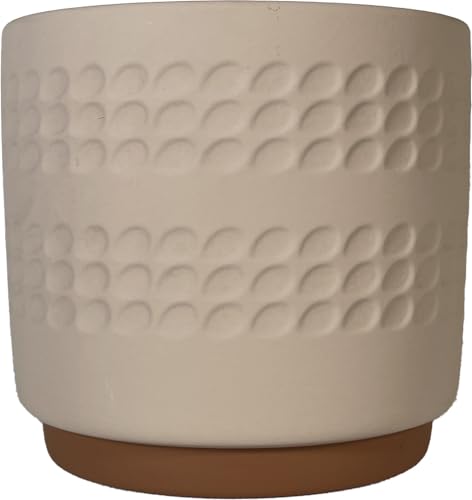 픫   fBv|bg [x[W W140×D140×H128