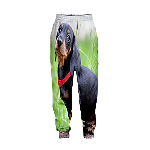 Pantalon décontracté teckel imprimé 3D mixte taille 36-41