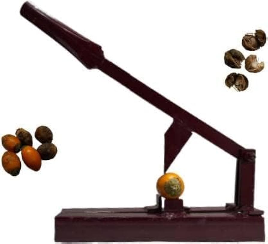 Ginekolog meni uxlatdi Transvestitlar bilan jinsiy aloqa video