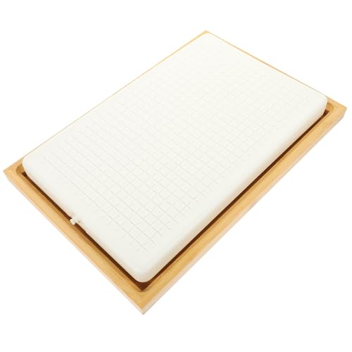 Set de platos rectangular para sushi con panel de hielo miniatura 1