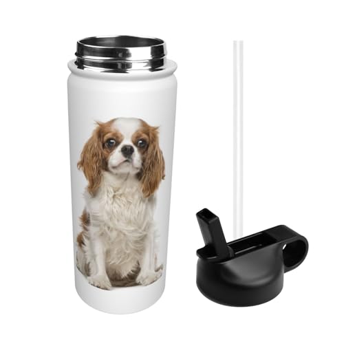  ĂLoA X|[c{g @r e q l  Xg[t ۉۗ  v[g Mtg