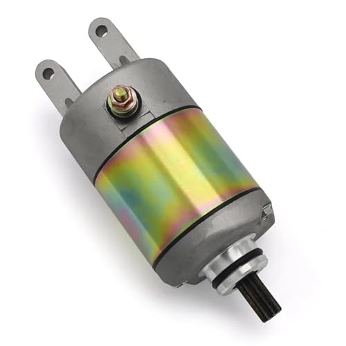 Aprilia Leonardo 250 300ƌ݊̂X^[^[[^[AMalaguti Madison 250cc X3M 125ccƌ݊̂Password 250ccALinhai Bighorn 260 300ƌ݊̂X^[^