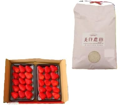 (令和7年産)新米・精米 きぬむすめ2kg&いちご詰合せ(約280g×2パック)
