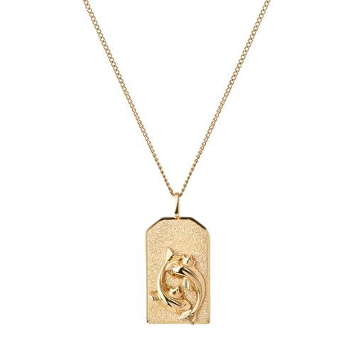 JENNY BIRD Pisces Zodiac Pendant...