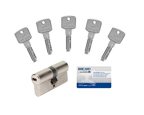 Bricard CYLINDRE A6, 30+30, NON DEBRAYABLE fourni avec 5 Clés, anti perçage et crochetage. Garantie 10 ans