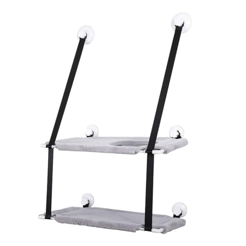 Diexgiy ~Gpd ݂艺 uR ybgpi LpnbN zՎ ۉp݂艺Q ۉ݌v (O[,o?)