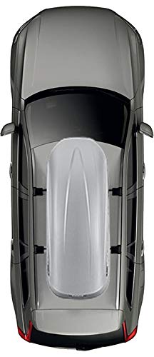 Thule Pacific L (780) Box tetto Grigio