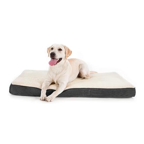 4つの季節の猫犬のぬいぐるみ四角い形状クッション犬ぬいぐるみパッドスリープマット取り外し可能な洗えるマットドッグマット床スキッドフルーフ