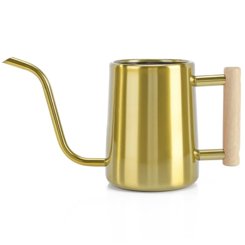 Image of Watering Can Indoor Plants, 35 oz /1000 ml Metal Stainless Steel Watering Can Pot with Long Spout for Indoor House Plants Bonsai Outdoor Garden Flower Decorative (Gold)