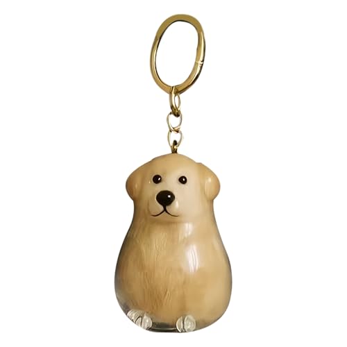 Generisch Llavero para recoger el pelo de perro, colgante transparente para mascotas, portable, para almacenamiento de pelo de gato, accesorios de viaje, día de la compra, regalo de cumpleaños para