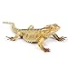 Rich Boxer Lizard Figurine Realistic Plastic Lizard Reptile Figurine for Collection Science Educational Prop