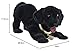 Wackelhund Labrador groß bobblehead