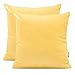 DecoKing 2 Poszewki na poduszki 50x50 cm Jersey bawełna zamek błyskawiczny żółty Amber