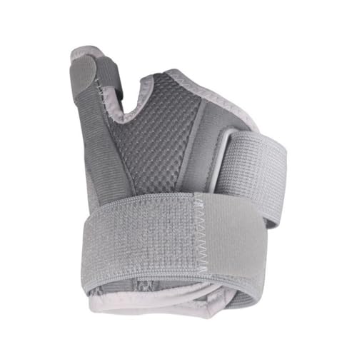 WOLKKAM΂ˎwA֐߉AFAPA荪ǃT|[gAEƍ̎u[Xp̐ewƎ̈艻Xvg (O[)