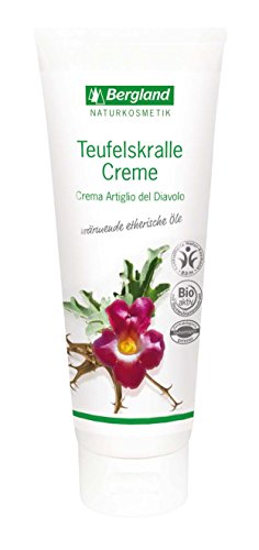 Bergland Teufelskralle Creme, 1er Pack (1 x 100 ml)