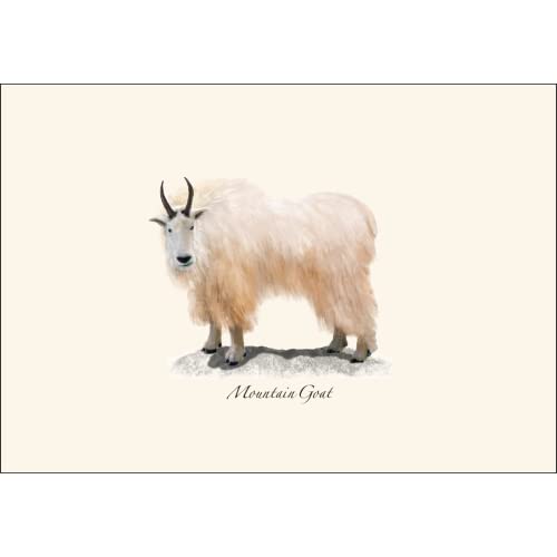 Image of Earth Sky + Water - Western Mammal II Assortment Notecard Set - 8 Blank Cards with Envelopes (2 each of 4 styles)