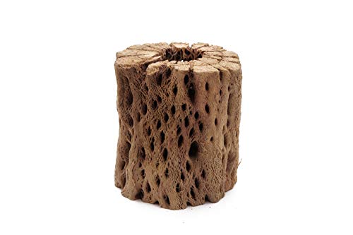 Image of 3 to 48 Inch All Natural Teddy Bear Cholla Wood Extra Hollow Large Untreated Organic Aquarium Driftwood Decoration Chew Toy Shrimp Crab Multi-Quantity (3 Pieces, 3 inch)