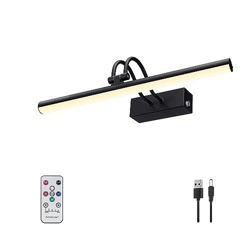 RAIFOOLLY Picture Light,Wireless Art Lights for Paintings,13" Battery Wall Light,Remote Control Accent Lighting with Timer and Dimmable for Frame,Portrait,Artwork-Black
