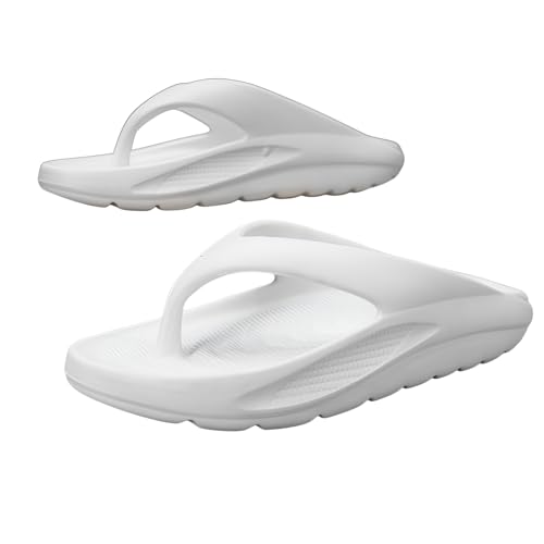 [lalarimi] r[`T_ Y  ~ K, y EVAf,   , AEghA  p