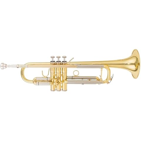 AUROSUS Bb Trumpets for Beginner or Advanced Student professional trumpets Case,Cloth, Gloves - Brass Musical Instruments For Beginner & Adults (710 gold brass) Cover